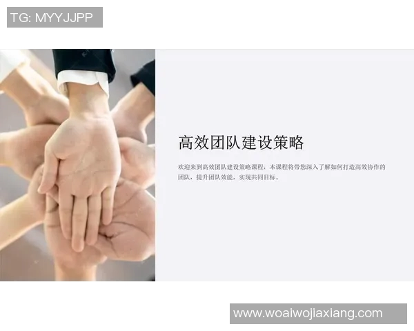 以教练为核心的团队建设与发展策略探析