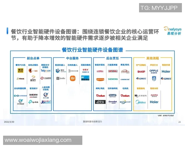 重磅专题：探寻FPX反击革新的新策略与未来发展方向